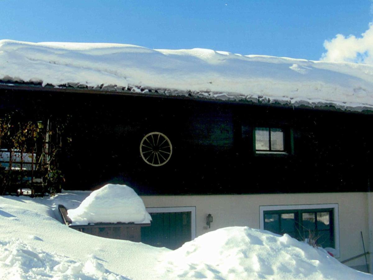 Chalet In Leogang Salzburg With Garden Buitenkant foto